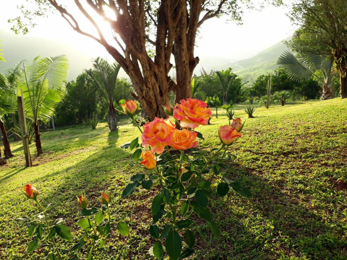 Casa/Sitio Na Serra Em Bom Jardim - Rj 외부 사진