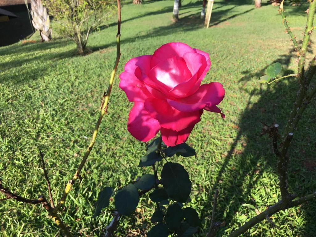 Casa/Sitio Na Serra Em Bom Jardim - Rj 외부 사진