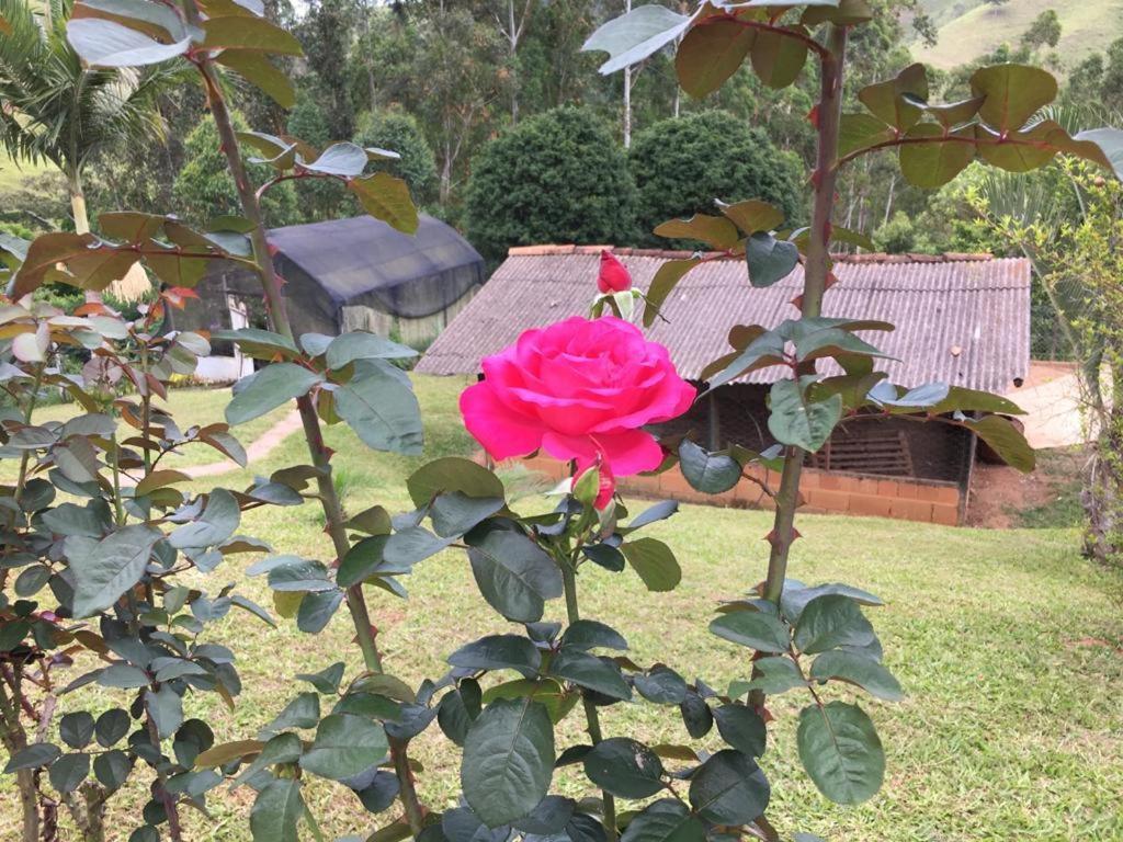 Casa/Sitio Na Serra Em Bom Jardim - Rj 외부 사진