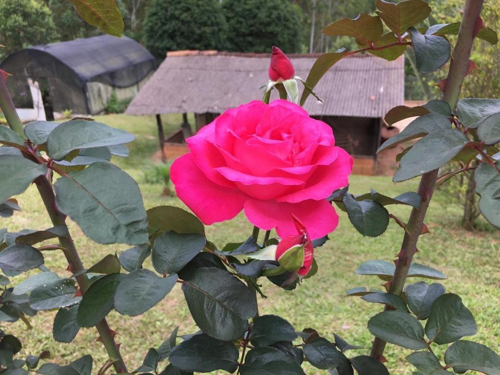 Casa/Sitio Na Serra Em Bom Jardim - Rj 외부 사진