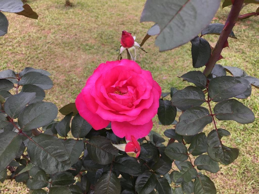 Casa/Sitio Na Serra Em Bom Jardim - Rj 외부 사진